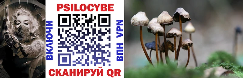 Купить закладки  Крымск  Псилоцибиновые грибы GOLDEN TEACHER 